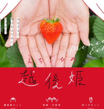 みなさまに愛されるために生まれた  おいしい新潟のいちご。越後姫LP